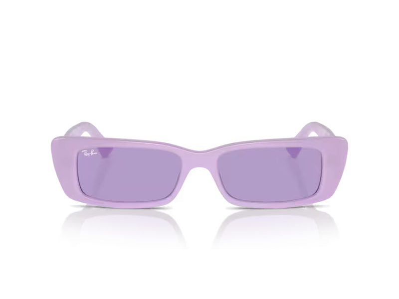Ray-Ban Teru RB 4425 67581A 54 Occhiali da Sole