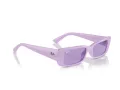 Ray-Ban Teru RB 4425 67581A 54 Occhiali da Sole