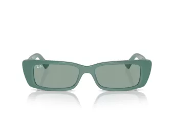 Ray-Ban Teru RB 4425 676282 54 Occhiali da Sole