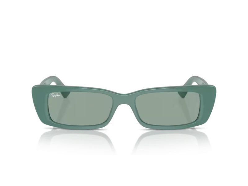 Ray-Ban Teru RB 4425 676282 54 Occhiali da Sole
