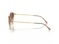Ray-Ban RB 0RB4429 672151 55 Occhiali da Sole