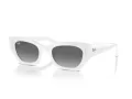 Ray-Ban Zena RB 4430 675911 49 Occhiali da Sole