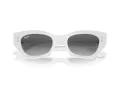 Ray-Ban Zena RB 4430 675911 49 Occhiali da Sole