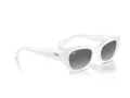 Ray-Ban Zena RB 4430 675911 49 Occhiali da Sole
