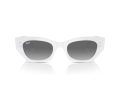 Ray-Ban Zena RB 4430 675911 52 Occhiali da Sole