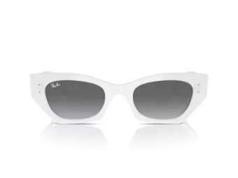 Ray-Ban Zena RB 4430 675911 52 Occhiali da Sole