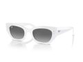 Ray-Ban Zena RB 4430 675911 52 Occhiali da Sole