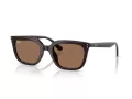 Ray-Ban RB 4439D 623173 54 Occhiali da Sole