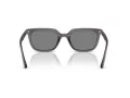 Ray-Ban RB 4439D 667587 54 Occhiali da Sole