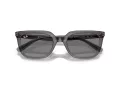 Ray-Ban RB 4439D 667587 54 Occhiali da Sole