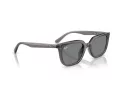 Ray-Ban RB 4439D 667587 54 Occhiali da Sole
