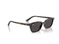 Ray-Ban Zaya RB 4456 135987 53 Occhiali da Sole