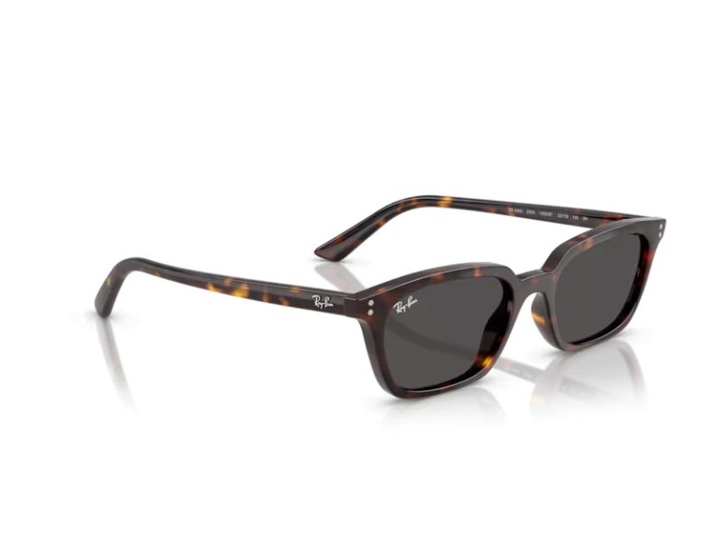 Ray-Ban Zaya RB 4456 135987 53 Occhiali da Sole