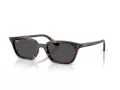 Ray-Ban Zaya RB 4456 135987 53 Occhiali da Sole