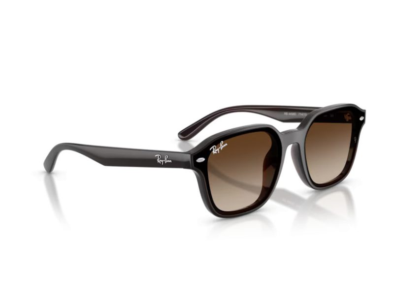 Ray-Ban RB 4458D 714/13 65 Occhiali da Sole