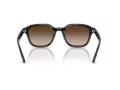 Ray-Ban RB 4458D 714/13 65 Occhiali da Sole