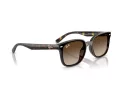 Ray-Ban RB 4461D 710/13 64 Occhiali da Sole