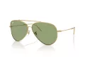 Ray-Ban Aviator Reverse RB R0101S 001/82 62 Occhiali da Sole