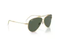Ray-Ban Aviator Reverse RB 0RBR0101S 001/VR 59 Occhiali da Sole