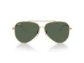 Ray-Ban Aviator Reverse RB 0RBR0101S 001/VR 59 Occhiali da Sole