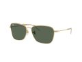 Ray-Ban Caravan Reverse RB 0RBR0102S 001/VR 58 Occhiali da Sole