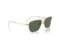 Ray-Ban Caravan Reverse RB 0RBR0102S 001/VR 58 Occhiali da Sole