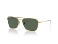 Ray-Ban Caravan Reverse RB 0RBR0102S 001/VR 61 Occhiali da Sole