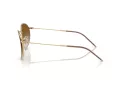 Ray-Ban Round Reverse RB R0103S 001/CB 53 Occhiali da Sole
