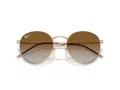 Ray-Ban Round Reverse RB R0103S 001/CB 53 Occhiali da Sole