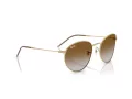 Ray-Ban Round Reverse RB R0103S 001/CB 55 Occhiali da Sole