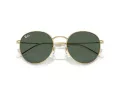 Ray-Ban Round Reverse RB R0103S 001/VR 53 Occhiali da Sole