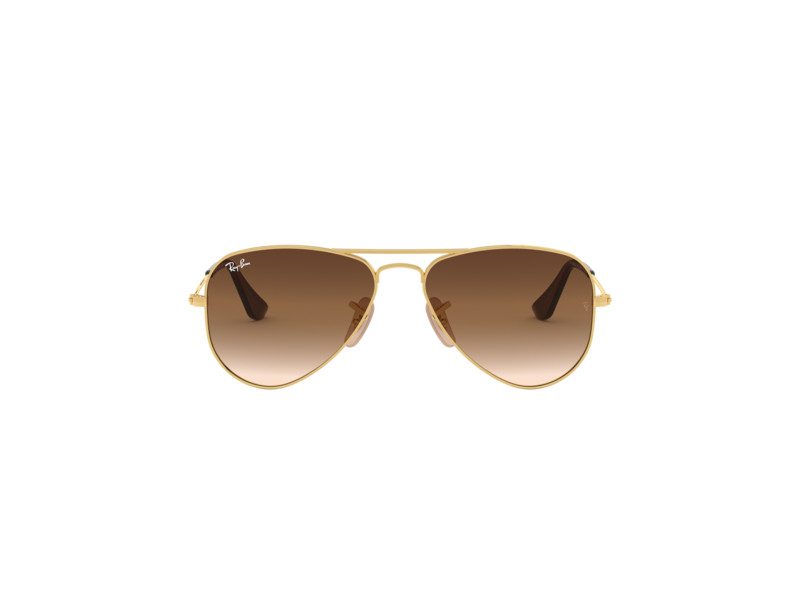 Ray-Ban Junior Aviator RJ 9506S 223/13 50 Occhiali da Sole