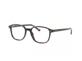 Ray-Ban Leonard RX 5393 2012 49 occhiali da vista