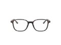 Ray-Ban Leonard RX 5393 2012 51 occhiali da vista