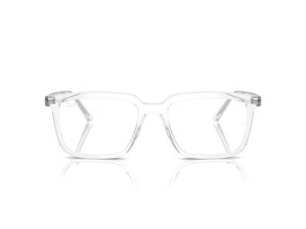 Ray-Ban Alain RX 7239 2001 52 occhiali da vista