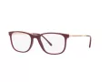 Ray-Ban RX 7244 8099 53 occhiali da vista