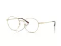 Ray-Ban RX 8778D 1251 52 occhiali da vista