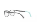 Ray-Ban RY 1614D 3908 49 occhiali da vista