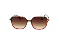 Replay RY 468V 03S 55 Occhiali da Sole
