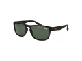 Superdry SDS Rockstar 122 54 Occhiali da Sole