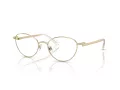 Swarovski SK 1002 4004 53 occhiali da vista