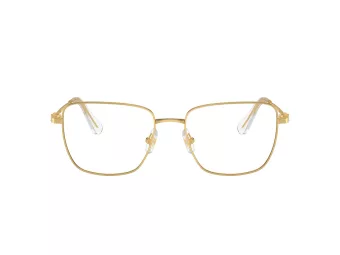 Swarovski SK 1003 4004 55 occhiali da vista