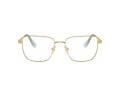 Swarovski SK 1003 4021 53 occhiali da vista