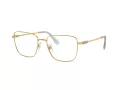 Swarovski SK 1003 4021 53 occhiali da vista