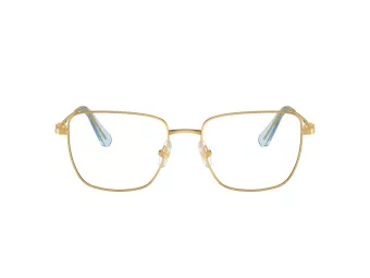 Swarovski SK 1003 4021 55 occhiali da vista