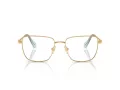 Swarovski SK 1003 4021 55 occhiali da vista