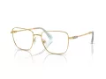 Swarovski SK 1003 4021 55 occhiali da vista