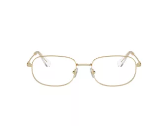Swarovski SK 1005 4013 54 occhiali da vista