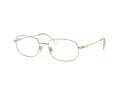 Swarovski SK 1005 4013 54 occhiali da vista