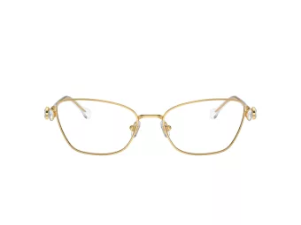 Swarovski SK 1006 4013 55 occhiali da vista